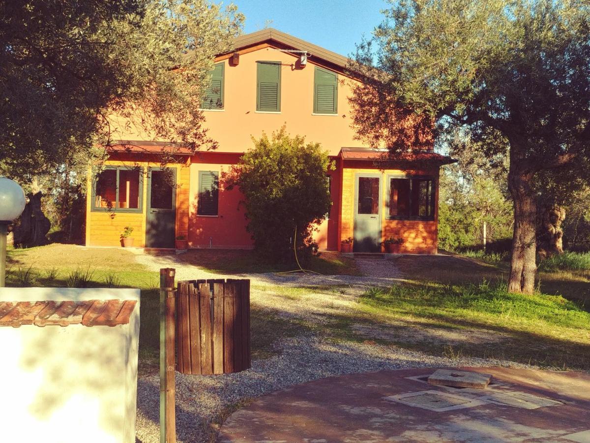 Bed and Breakfast La Piana Degli Ulivi Rossano Exterior foto